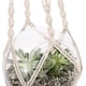thumbnail image 4 of Colgador para plantas, paquete de 2 colgadores para plantas, colgadores para plantas de cuerda de algodón para interiores y exteriores, soportes para colgar plantas de 4 patas, planta colgan, 4 of 5