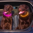 thumbnail image 6 of Miaocao 2 Packs Light Up Dog Collar, LED Dog Collar, USB Rechargeable Dog Lights for Night Walking, Adjustable Glow in The Dark Collars for Small Medium Large Dogs, Waterproof Safety Pets Lights, 6 of 6