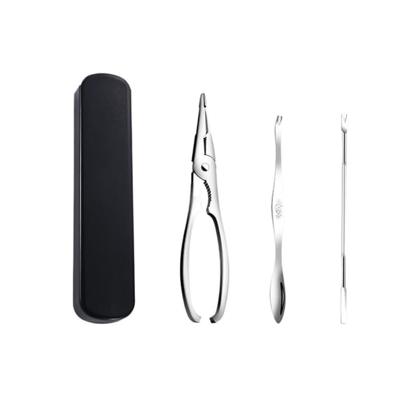 Seafood Tool Set Crustacean Set Stainless Steel Including Storage Box Lobster Cracker Lobster Pick Spoon Shrimp Tool