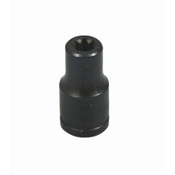 E16 Torx Socket
