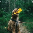 thumbnail image 4 of Adjustable Breathable Mesh Dog Muzzle for Medium and Large Breed Comfortable Lightweight Training -Biting Outdoor Walking Control Safe Design, 4 of 5