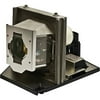 Optoma - Projector lamp - for Optoma EP1690
