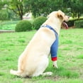 thumbnail image 5 of Adjustable Dog Front Leg Brace Soft Padded Elastic Elbow Brace Breathable Dog Sleeve for Joint Protections and Recovery, 5 of 8