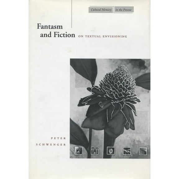 Cultural Memory in the Present Fantasm and Fiction: On Textual Envisioning, (Paperback)