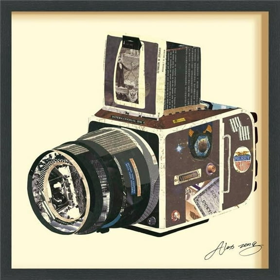 Empire Art Direct 'SLR Camera' Alex Zeng's dimensional collage,under glass & a black shadow box frame
