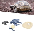 thumbnail image 4 of Juguetes de animales marinos figuras de animales marinos de plástico realista para proyectos educativos para regalos de cumpleaños para aprendizaje de ciencias para decoración ANGGREK Otros, 4 of 8
