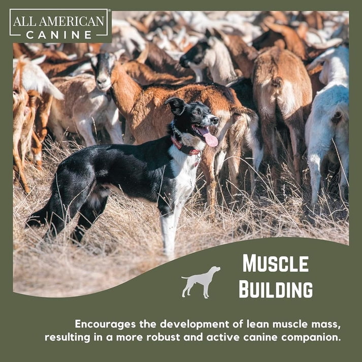 All American Canine Dog Weight Gainer Food Supplement Topper - 230 Serving ( 5lb )