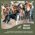 thumbnail image 3 of All American Canine Dog Weight Gainer Food Supplement Topper - 230 Serving ( 5lb ), 3 of 6