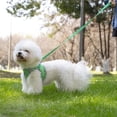 thumbnail image 7 of Dog Harness and Leash Set, No Pull Pet Harness for Small Dogs Easy Walking,Soft Breathable Small Dog Harness,Adjustable Reflective Step in Vest Harness for Puppy,Kitten, Cats, 7 of 7