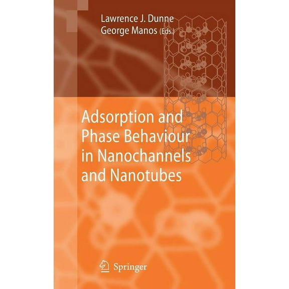Adsorption and Phase Behaviour in Nanochannels and Nanotubes (Hardcover)