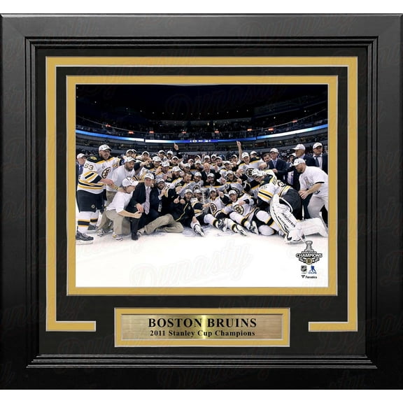 Boston Bruins 2011 Stanley Cup Champions 8" x 10" Framed Hockey Photo