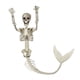thumbnail image 4 of Esqueletos de Halloween, modelo de esqueleto humano, articulaciones de cuerpo completo, esqueletos para jardín 1 esqueletos, 4 of 9