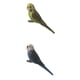 thumbnail image 1 of 2 Piezas Modelos de Animales Simulación de Pájaro Modelo Estatuilla de Plástico -, 1 of 9