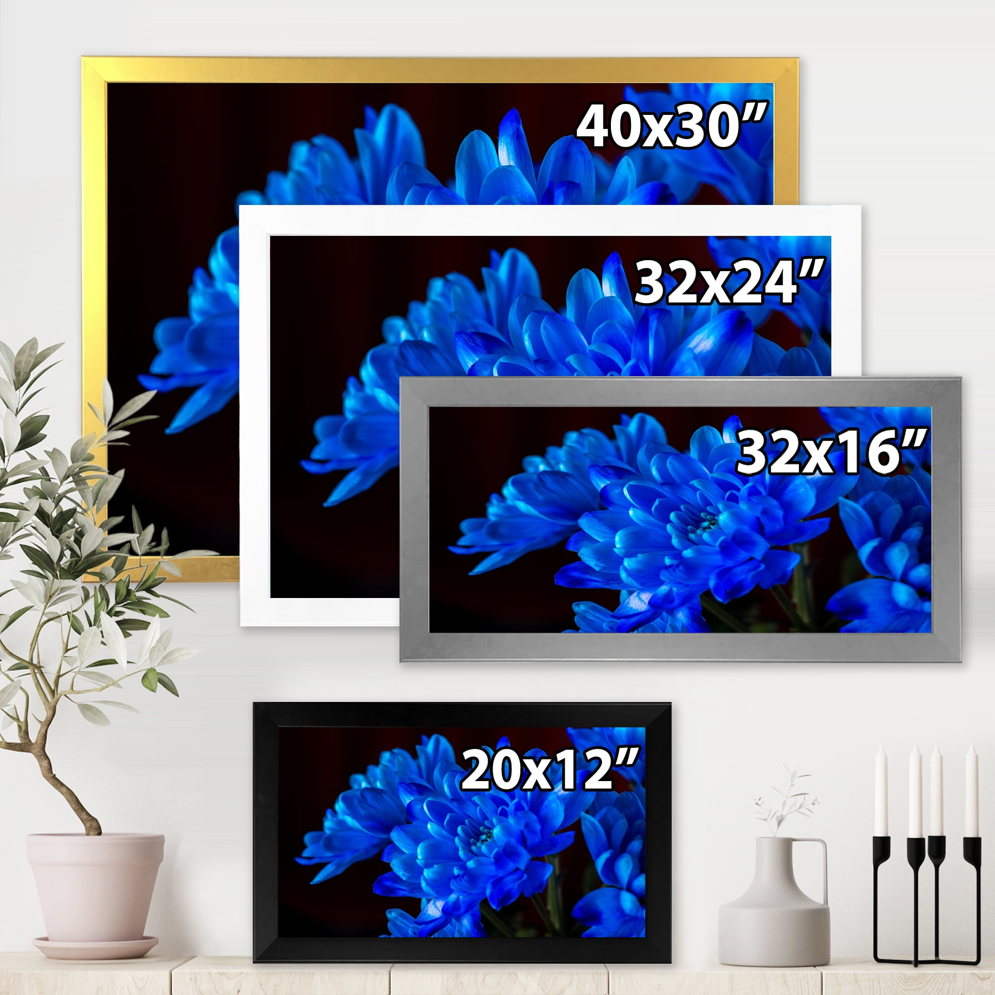 Designart 'Blue Chrysanthemum Flowers On Black Backround' Traditional Framed Art Print