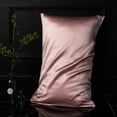 thumbnail image 2 of Pillow Case 100% Silk Quality Slip Solid Color Two-Sided Bedroom Decoration, 2 of 6