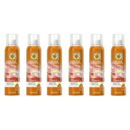 Herbal Essences Dry Shampoo, Body Envy, Instant Clean & Lightweight Fresh Feel, Citrus Scent, 140g (4.9 oz) (Pack of 6)