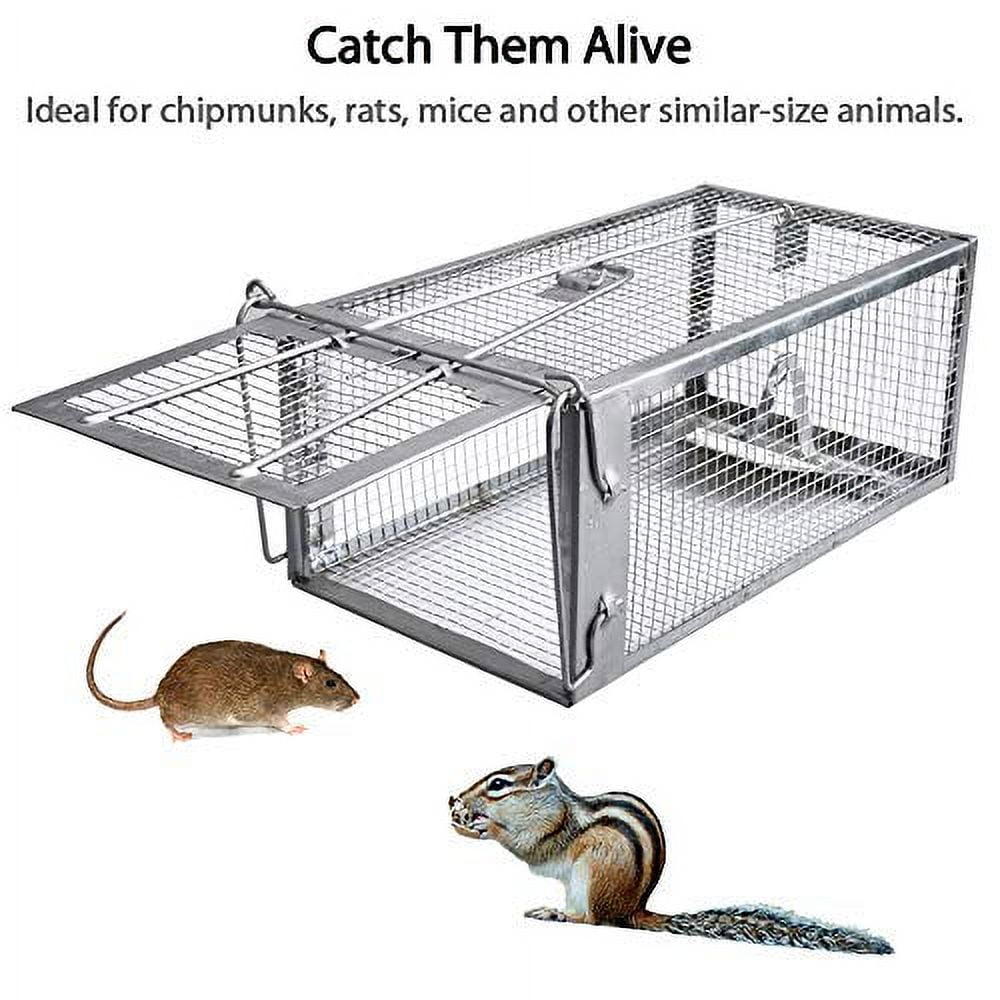 2-Pack Humane Rat Cage Traps, Live Mouse Rat Traps Catch and Release for  Indoor Outdoor, Small Animals Traps, Easy to use, Pet Safe ( 10.6x 5.5x