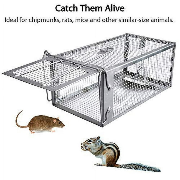 Humane Rat Trap, Chipmunk Rodent Trap That Work For Indoor And Outdoor Small  Animal Squirrels, Small Rabbits And More - Mouse Voles Hamsters Live Cage  Catch And Release - Temu