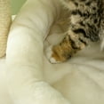 thumbnail image 6 of PawHut 3-Level Cat Tree with Sisal Scratching Posts for Playing, 6 of 9