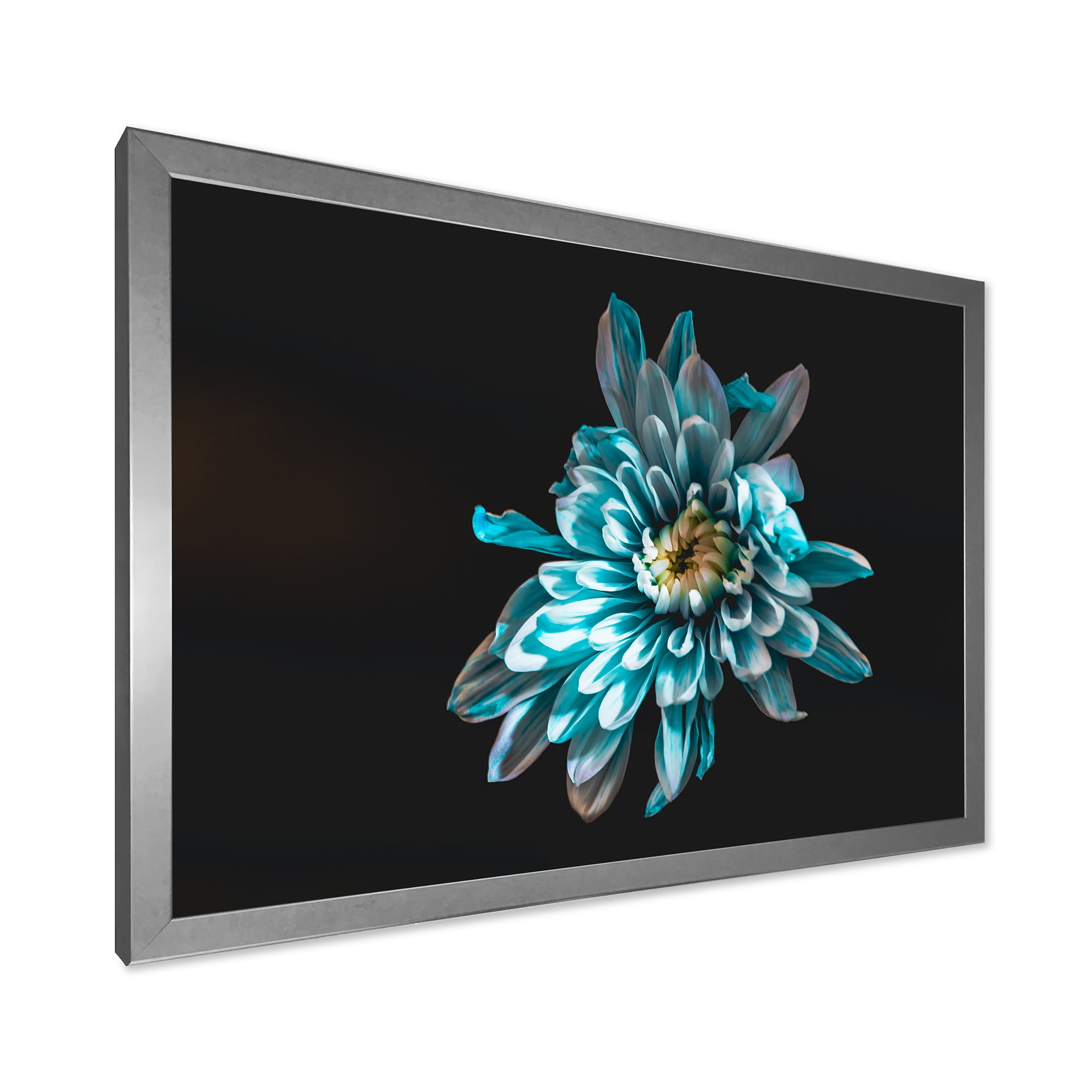 Designart 'Top View of White and Blue Flower' Traditional Framed Art Print