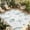 Beige, Dusty Blue, Gray, variant on Indoor Outdoor Area Rugs,Ocean Starfish Shell Conch Washable Patio Rug Non-slip Quick Dry Camping Rugs,Coastal Marine Life Polka Dot Floor Carpet for Porch Deck Backyard Decor,4x6ft