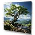 thumbnail image 2 of Designart "Japanese Bonsai In Greenery" Tree Bonsai Wall Art Prints, 2 of 7