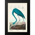 thumbnail image 2 of Audubon, John James 11x14 Black Modern Framed Museum Art Print Titled - Custom Pl 431 American Flamingo I, 2 of 5