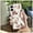 Gray, variant on LYM-Phone Case For BLU G53, Cartoon Silicone Anti-knock Fashion Design Full wrap Durable Dirt-resistant Waterproof Back Cover TPU Anti-dust protective Cute Soft case Cover Shockproof