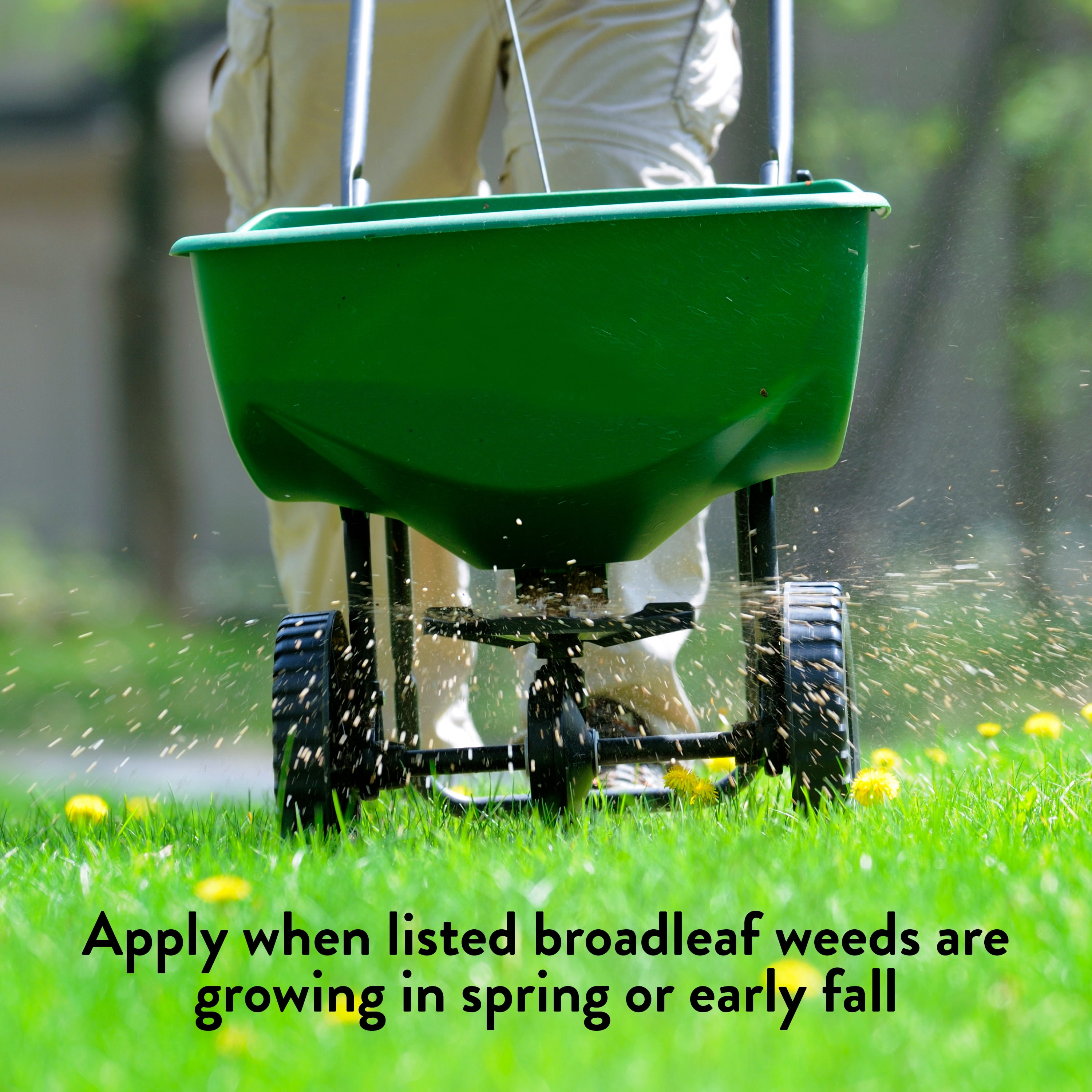 GreenView Broadleaf Weed Control + Lawn Food - 13 lb. - Covers 5,000 Sq. ft.