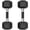 10 lb, Pair, variant on ROALW 12 LB Hex Dumbbells (Pair), Odorless Rubber Coated Free Weights for Home Gym & Strength Training