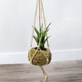 thumbnail image 2 of Esterno Kokedama Hanging Planters (Set of 3, 5.5in Diameter); Japanese Moss Ball Plant Holder for Ferns, Succulents, Orchids Etc, 2 of 7