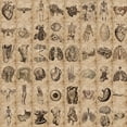 thumbnail image 2 of Juego de pegatinas Vintage Anatomy, 56 unidades, calcomanías de vinilo impermeables, 2 of 2