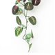 thumbnail image 5 of 110cm Artificial Plants Ivy Leaf Garland Fake Foliage For Home, Garden And Party, 5 of 5