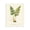 Vintage Botanical Fern Study, variant on Stupell Industries Victorian Two Ferns Nature Study Black Floating Frame Canvas Art, 17 x 21, by Susan Arnot