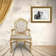 thumbnail image 3 of Delimont, Danita 14x11 Gold Ornate Wood Framed with Double Matting Museum Art Print Titled - South Iceland, 3 of 4