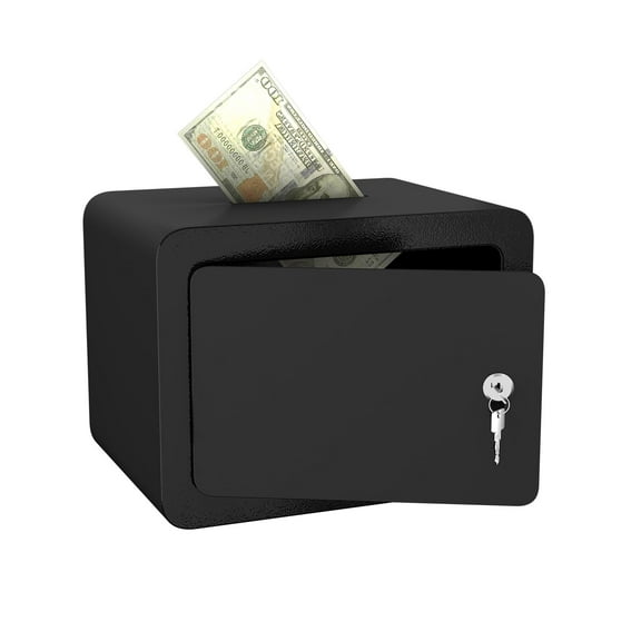 CQSXDA Mini Storage Cabinet Home Safe With Key And Password In 0.23 Cubic Feet For Money Documents And Valuables