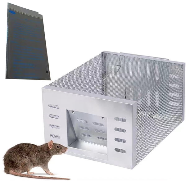 Trampa Humana para Ratones Ardillas Y Roedores Ratas en Interiores (juego Jaulas Ratones)