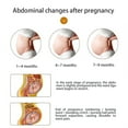 thumbnail image 4 of Banda para el cuidado de embarazadas, soporte de maternidad transpirable, cinturón de embarazo prenatal, banda para el vientre, respuesta rápida, 4 of 6