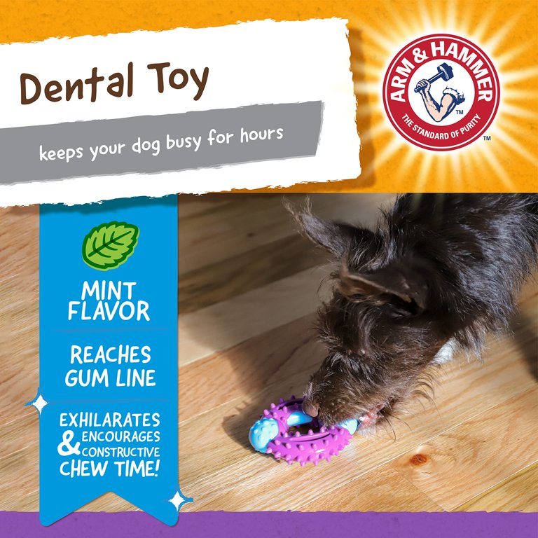 Arm & Hammer Dental Chew Nubbies Bone Dog Toy