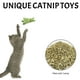 thumbnail image 3 of 3 piezas de lindo juguete para gatos, juguete interactivo para gatitos, juguete de hierba gatera para interiores, 3 of 6