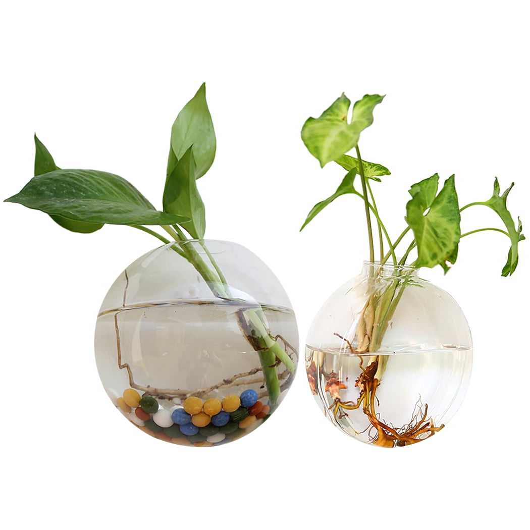 Wall Mouted Creative Hanging Glass Flower Vase Hydroponics Bottle Fish Bowl 