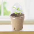 thumbnail image 4 of 10 Uds taza de cultivo de plántulas maceta Biodegradable taza de cultivo de plantas para jardinería, 4 of 6