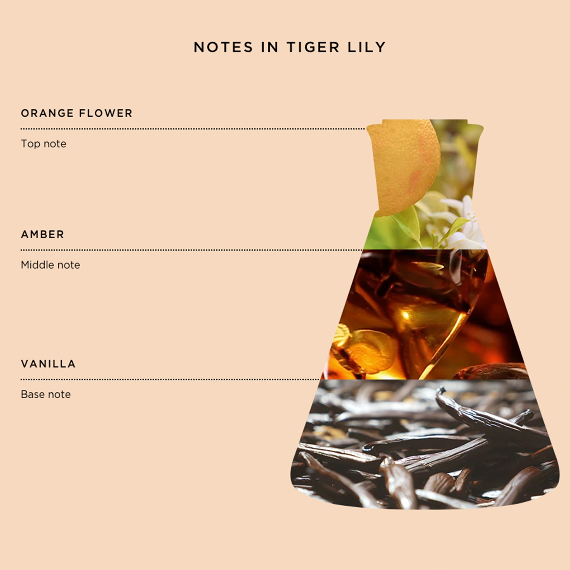 Good Chemistry® Body Mist Fragrance Spray, Tiger Lily, 5 fl oz