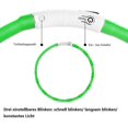 thumbnail image 3 of Collar con luz LED para perros, collar de seguridad para mascotas de longitud ajustable y recargable por USB para perros y gatos, 3 of 6
