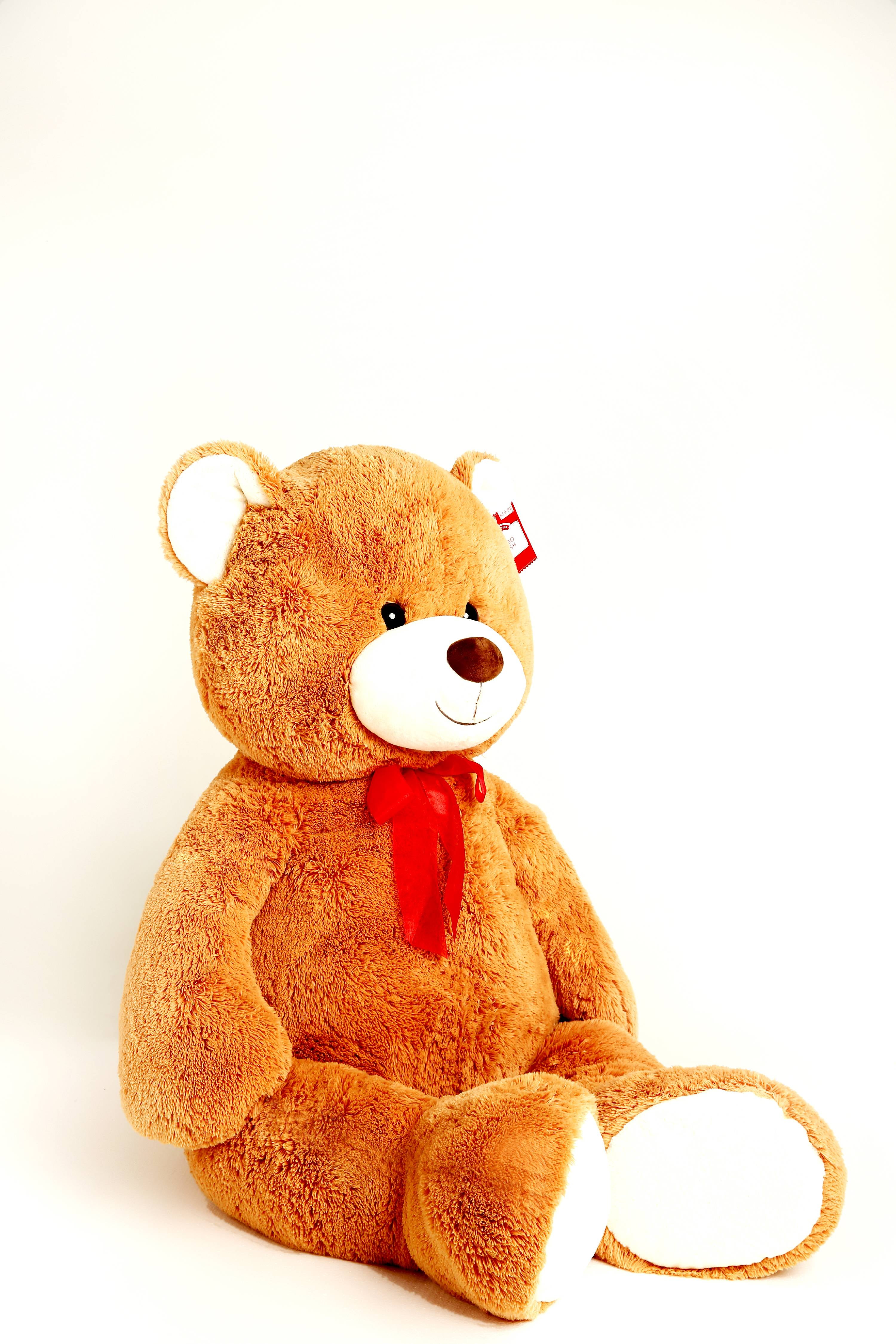Jumbo Plush Bear, 32