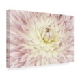 thumbnail image 4 of Trademark Fine Art 'Dahlia Flower' Canvas Art by Cora Niele, 4 of 4