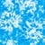 Ocean Ice