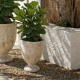 thumbnail image 2 of Safavieh Ella Antique White Ficonstone Plant Pot, 2 of 7