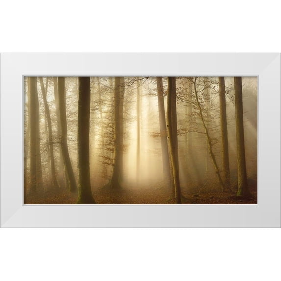 Maier, Norbert 18x12 White Modern Wood Framed Museum Art Print Titled - Into the Trees