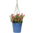 thumbnail image 1 of Houston International 6151E B 9-Inch Steel Hanging Planter, Blue, 1 of 1